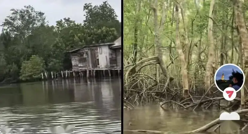 老年人出國旅游到底有多real？