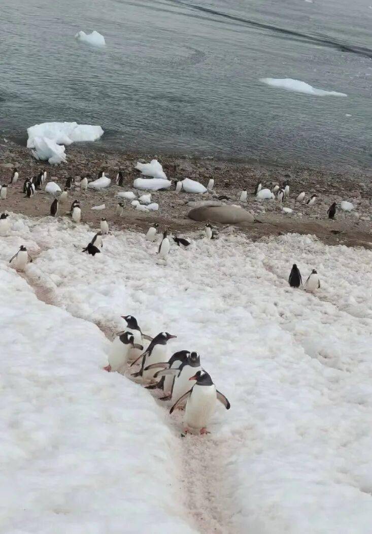 老年人出國旅游到底有多real？