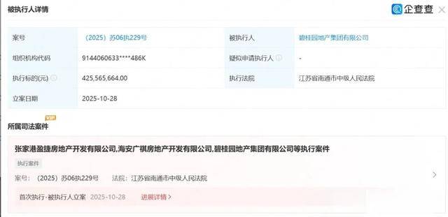 房產(chǎn)巨頭，被執(zhí)行4.2億元