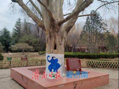 收藏！在泉城坐著地鐵逛公園最新攻略來啦