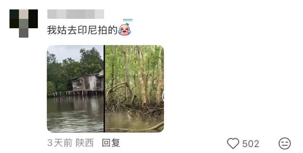 老年人出國旅游到底有多real？