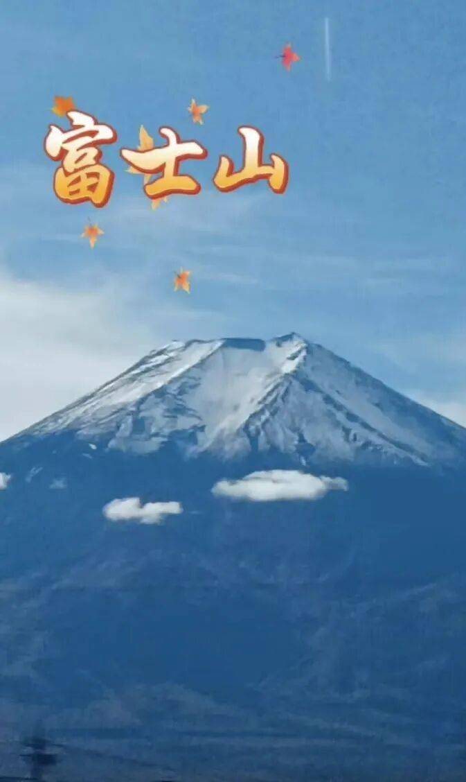 老年人出國旅游到底有多real？