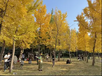 收藏！在泉城坐著地鐵逛公園最新攻略來啦