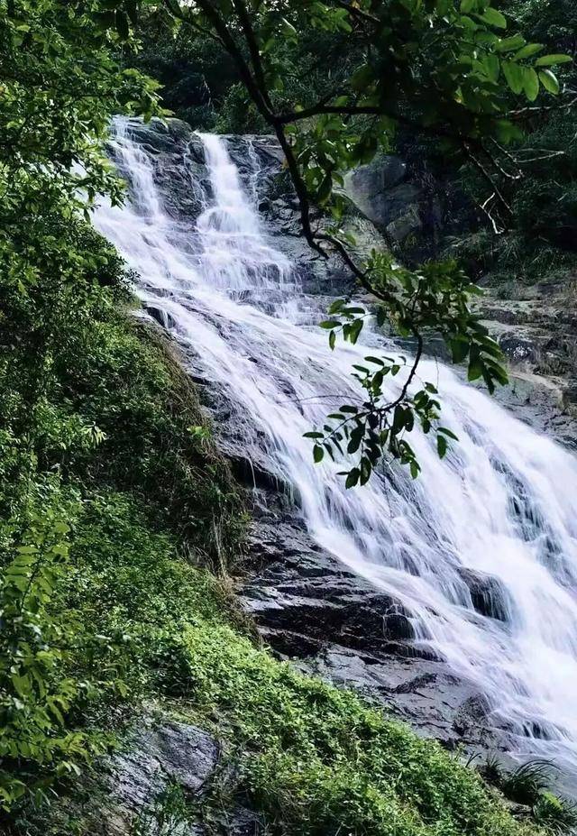 冬日浪漫！深圳坪山賞梅路線快收藏好