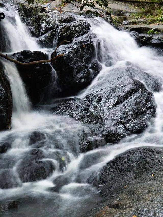 冬日浪漫！深圳坪山賞梅路線快收藏好