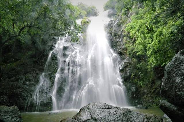 冬日浪漫！深圳坪山賞梅路線快收藏好