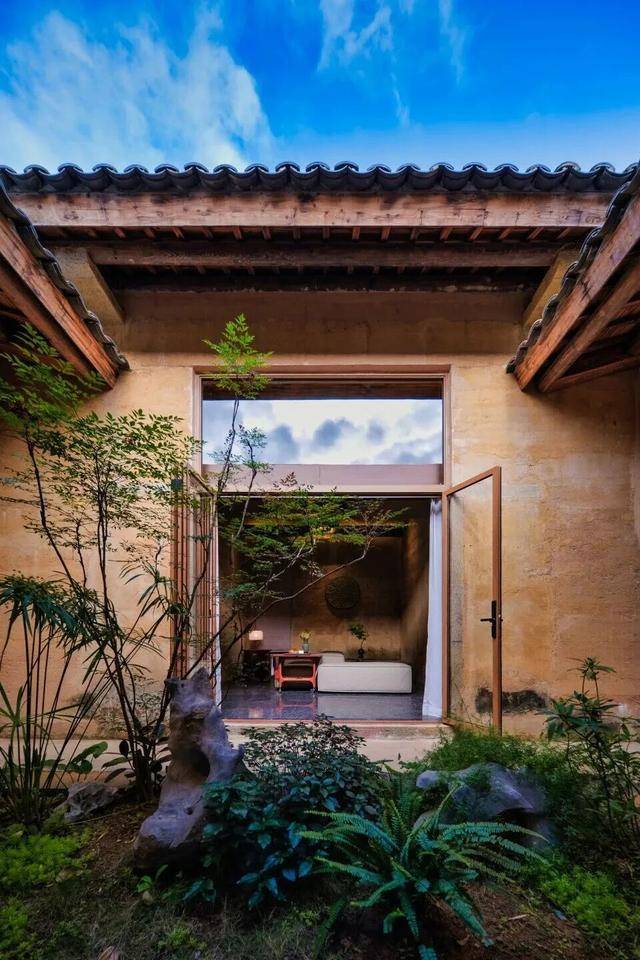 冬日浪漫！深圳坪山賞梅路線快收藏好