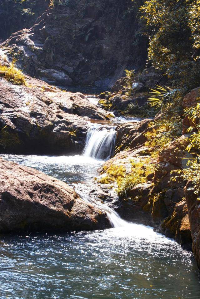 冬日浪漫！深圳坪山賞梅路線快收藏好