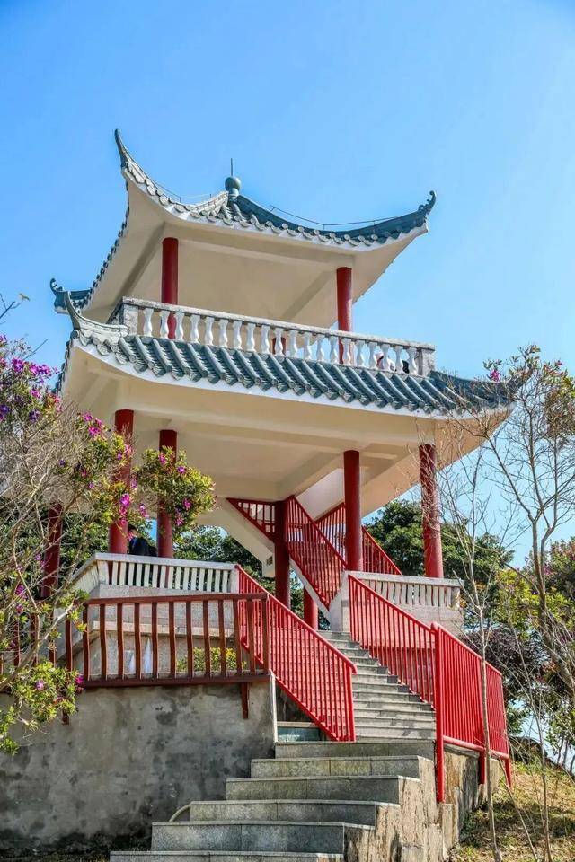 冬日浪漫！深圳坪山賞梅路線快收藏好