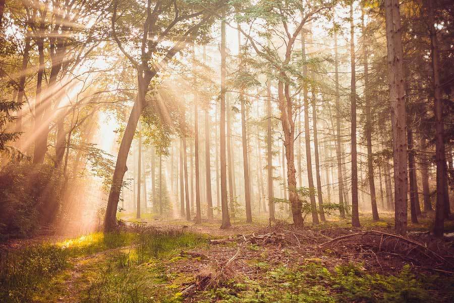 舞蹈大賽展現(xiàn)多元舞蹈風格精彩紛呈