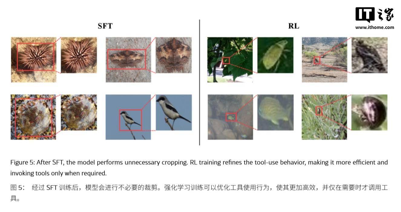 遏制AI幻覺：蘋果DeepMMSearch-R1論文揭秘“圖像裁剪”搜索術(shù)