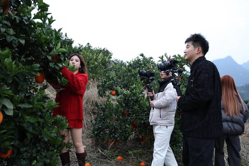 從山水秘境到舌尖盛宴 旅游達(dá)人在羅甸邂逅“橙”意暖冬
