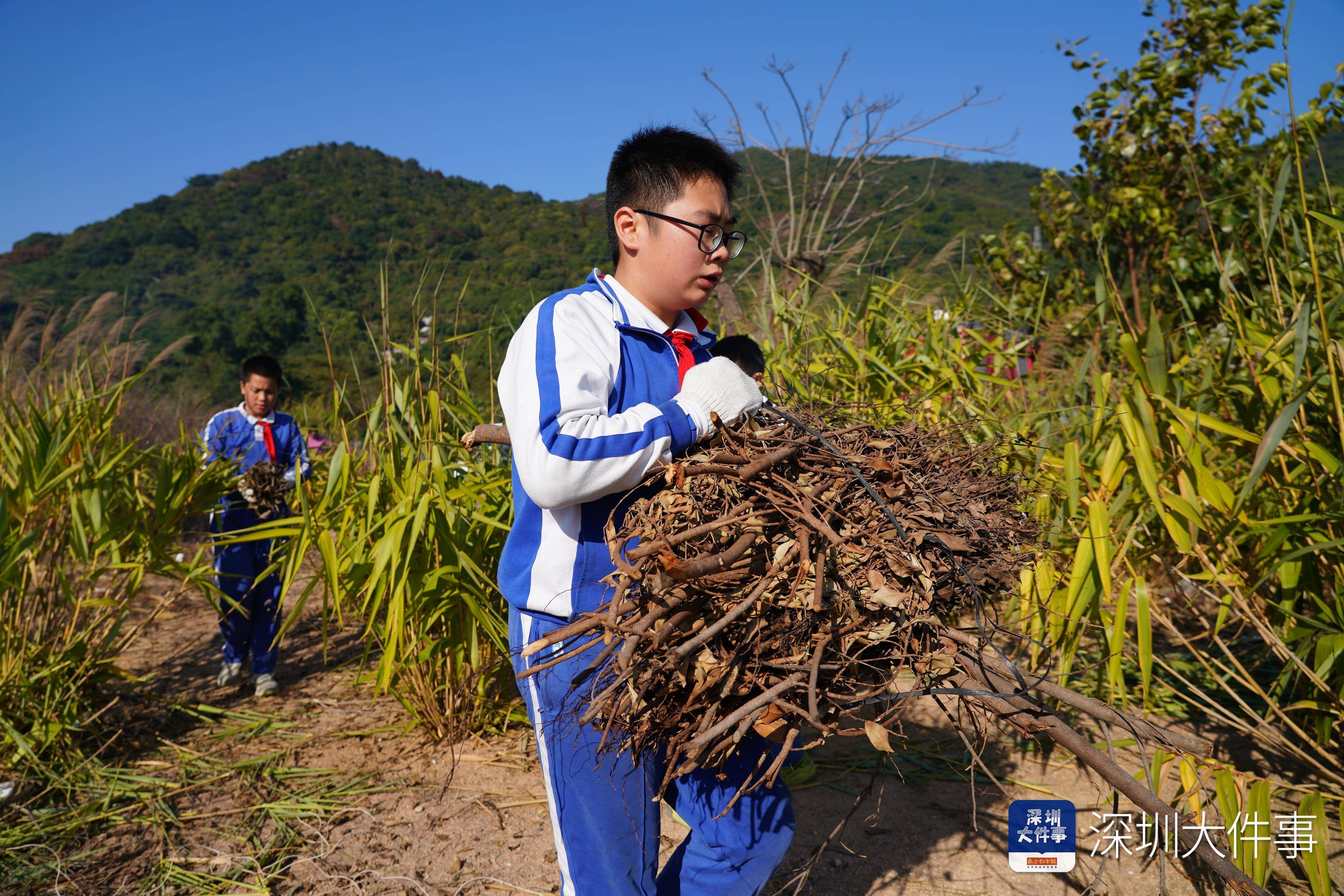 把課堂搬到野外！深圳小學(xué)生野炊“畢業(yè)考”真香