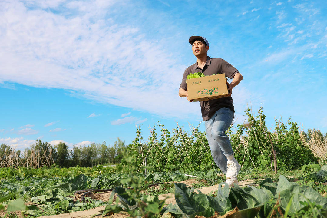 江蘇2025年快遞業(yè)務量157.9億件，漲幅13.5%，你貢獻了多少？
