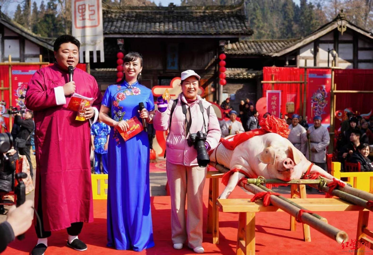 “吃豬啦baby” 雅安雨城年豬文化旅游活動啟幕 殺年豬吃血湯 抽獎可得年豬一頭