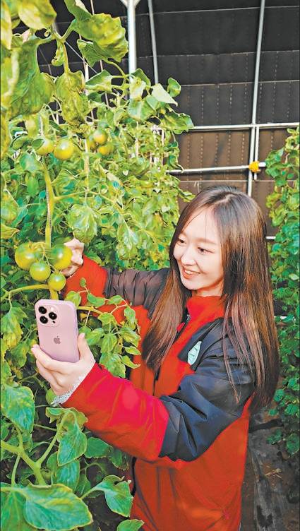 深山村里“種”論文