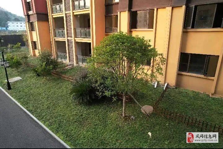 鳳岡龍?zhí)尔惥半娞菅蠓?91-127㎡現(xiàn)房熱銷，即買即住即辦理房產(chǎn)證