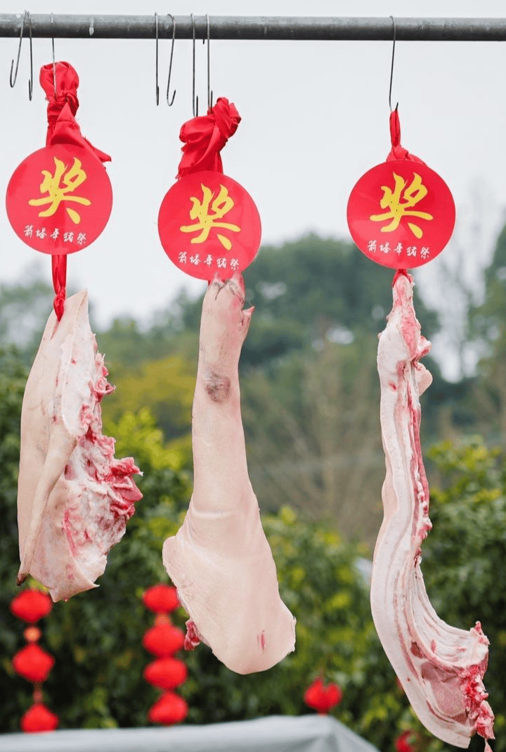 “刨豬宴”沒(méi)趕上，“箭塔年豬祭”十周年別錯(cuò)過(guò)！出行提示趕緊收藏