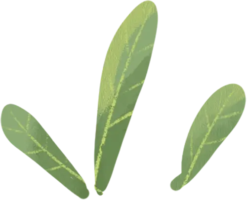 2025年東城區(qū)戲劇普及交流項目“劇匯生活”回顧 | 80場活動解鎖戲劇的N種打開方式