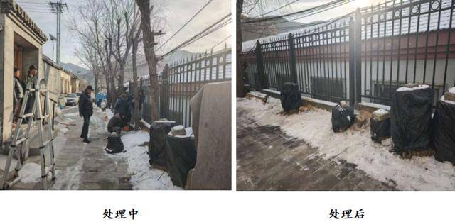 接訴即辦——枯樹纏線存隱患，快速處置護(hù)民安