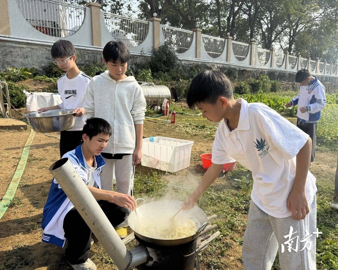 “眾耕園”里飯菜香！清新這所學(xué)校勞動教育歡樂多