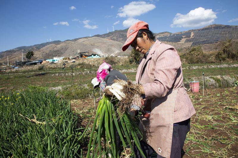【開屏早知道】春運火車票怎么買？購票日歷請收藏