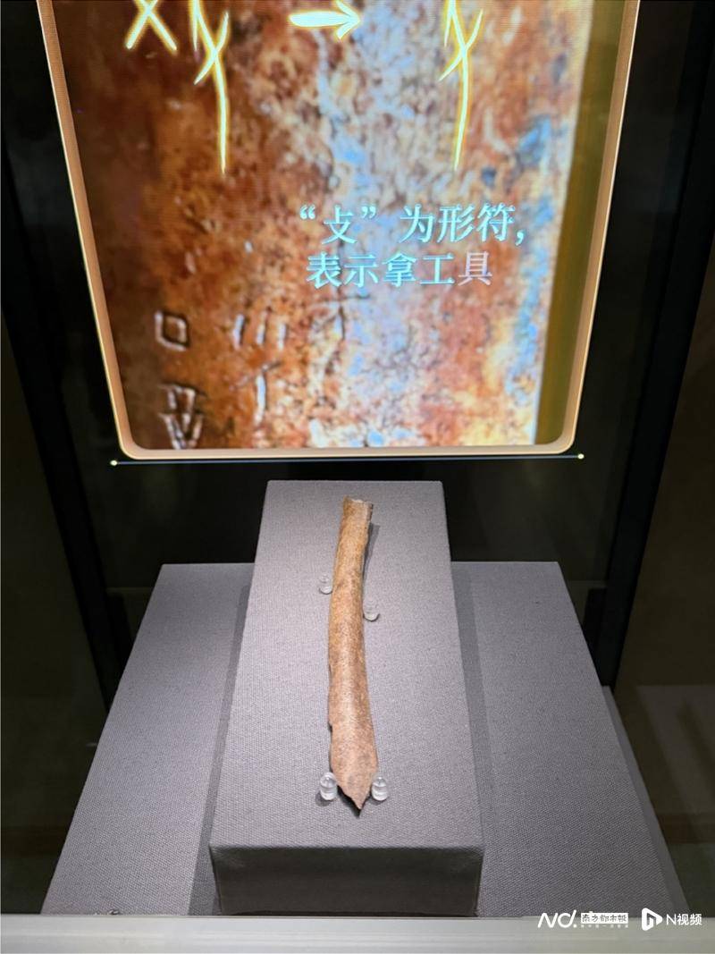 在國(guó)家圖書館，走進(jìn)“典籍里的書院”