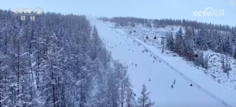 返鄉(xiāng)、探親、學生與旅游度假客流疊加 春運航空出行需求旺盛