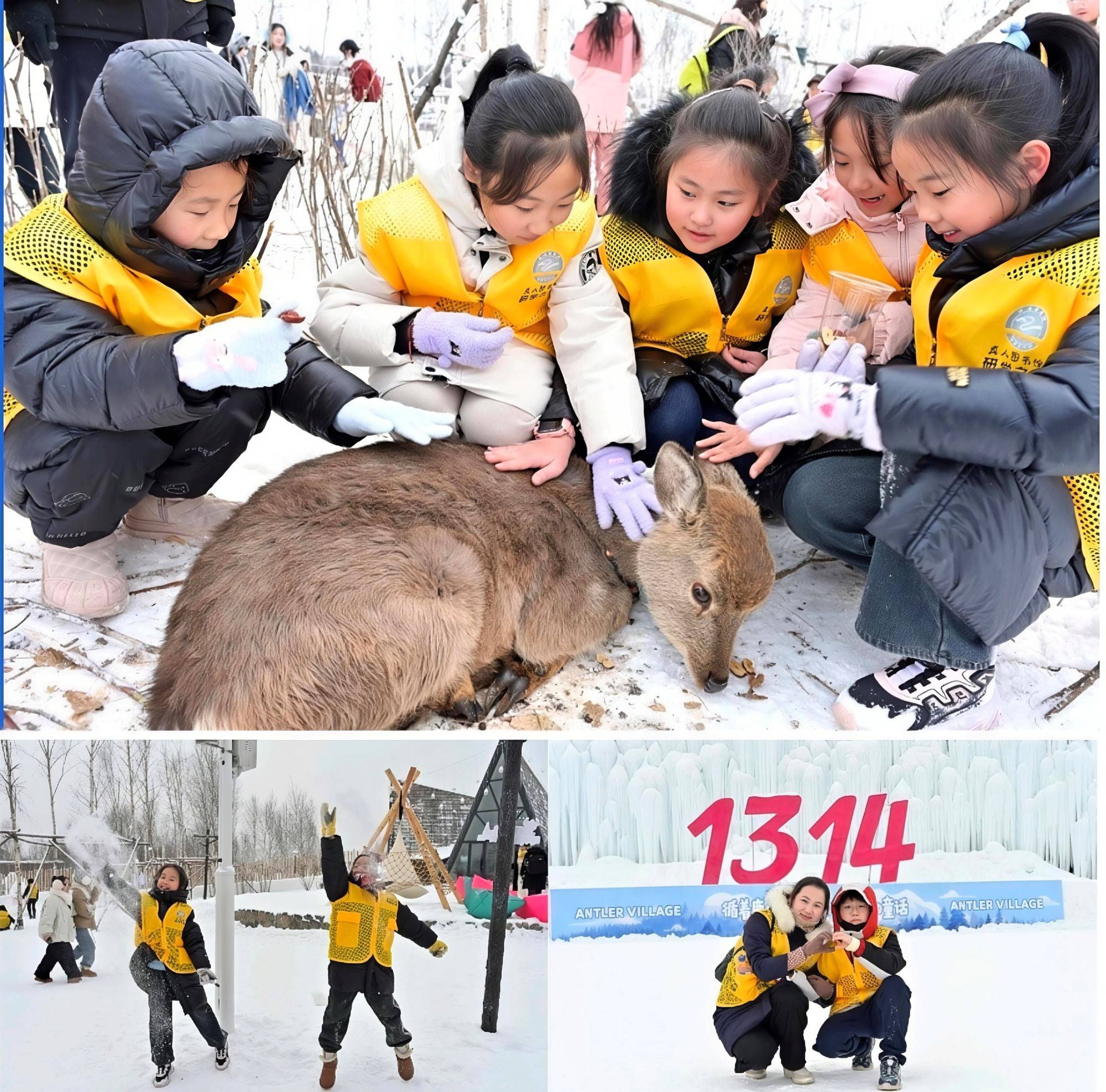 冰雪奇遇+地質(zhì)探秘 延邊圖書館研學(xué)走進(jìn)長(zhǎng)白山