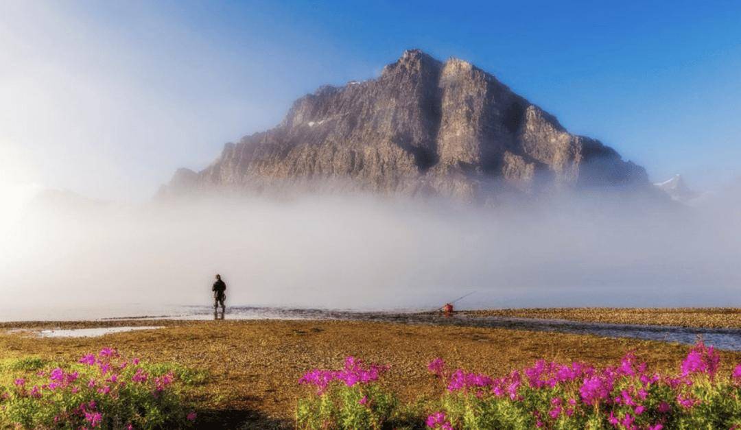 加拿大移民重磅變革——NOC代碼大洗牌