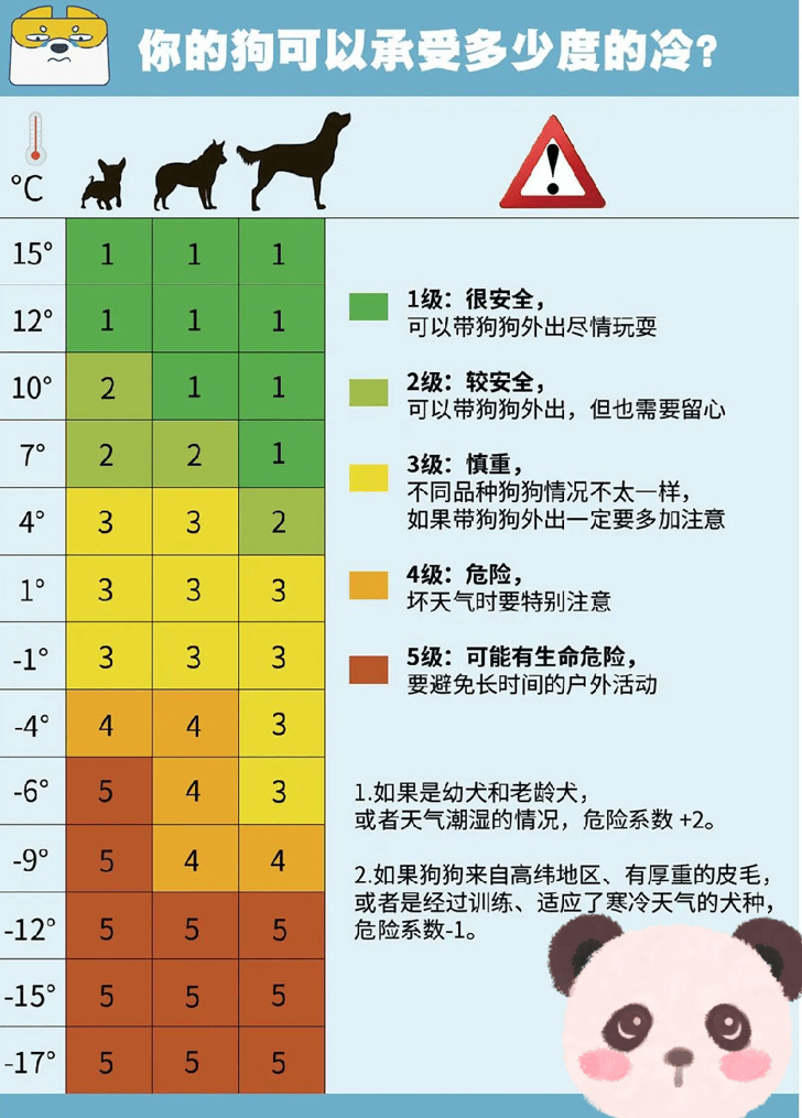 狗子怕冷故意把窗簾蓋在身上，狗：這暗示夠明顯了吧？