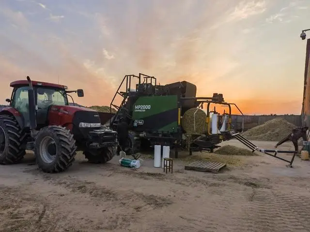 科技改良讓鹽堿地變身“致富田”