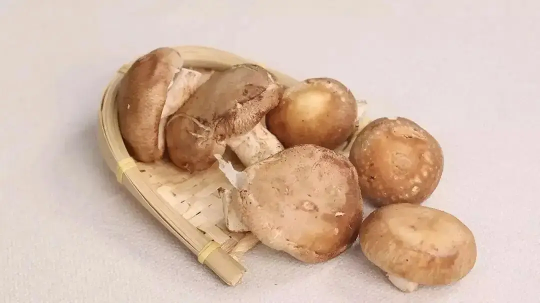 @所有女性！不想老的快，那么這幾樣食物一定要多吃！