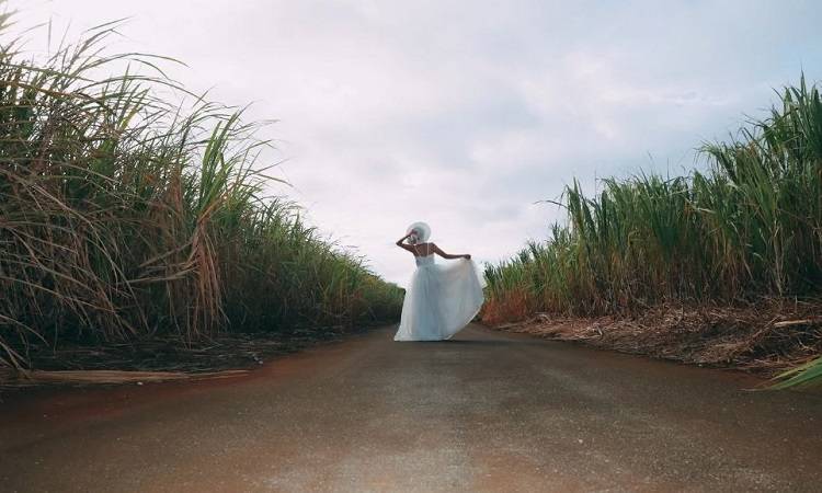 原創(chuàng)有一種強(qiáng)者叫“已婚女性”