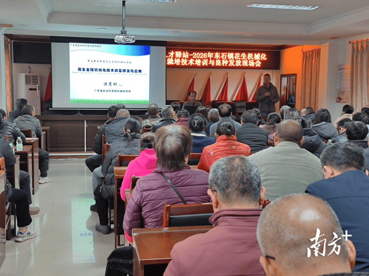 科技+良種雙賦能！平遠(yuǎn)縣東石鎮(zhèn)科技特派員助花生提質(zhì)增效