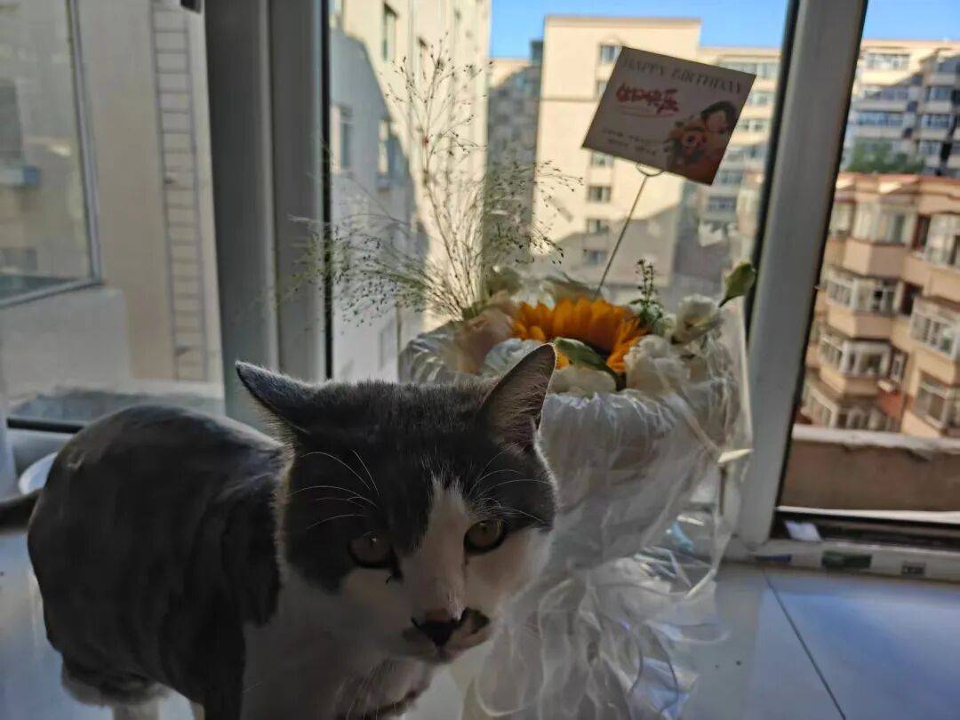 鶴崗「房產(chǎn)一哥」，轉(zhuǎn)行擦邊背后