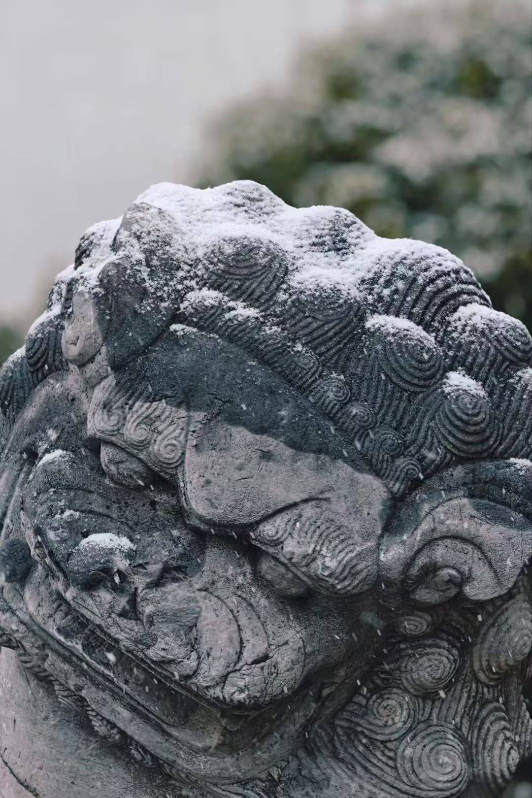 蘇州降雪！山塘中心小學校雪景美如詩畫