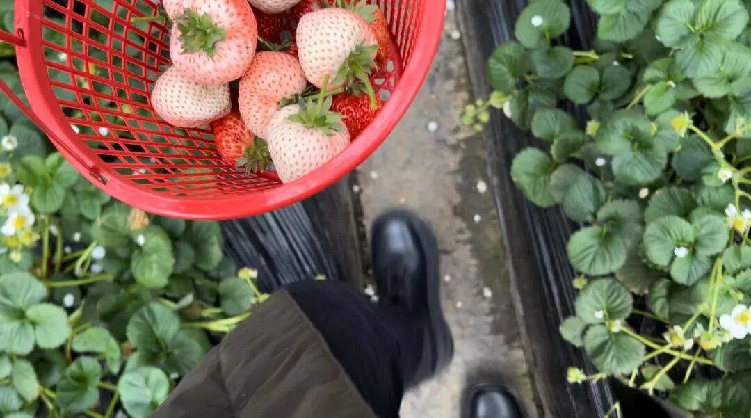 鶴崗「房產(chǎn)一哥」，轉(zhuǎn)行擦邊背后