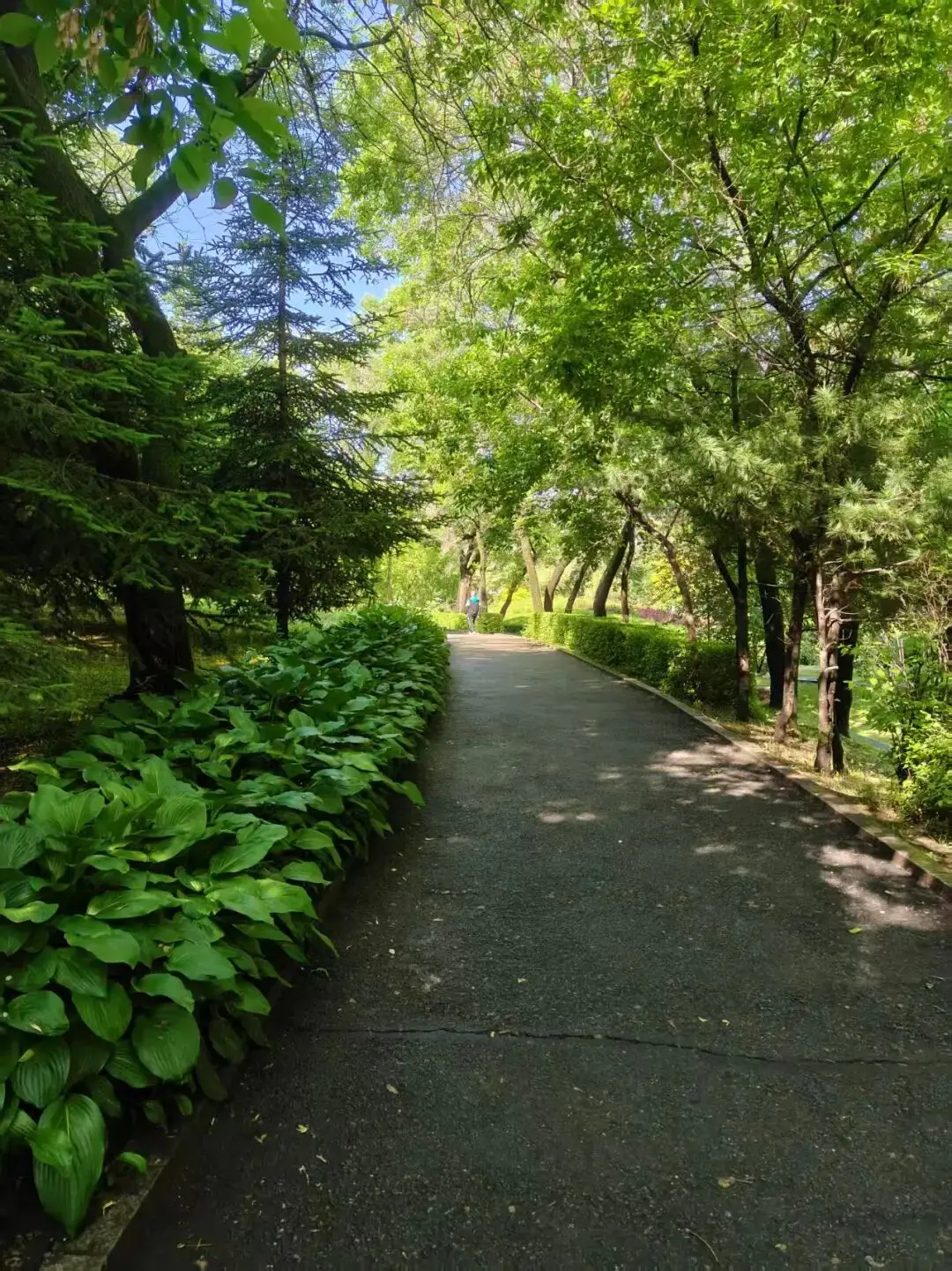 鶴崗「房產(chǎn)一哥」，轉(zhuǎn)行擦邊背后