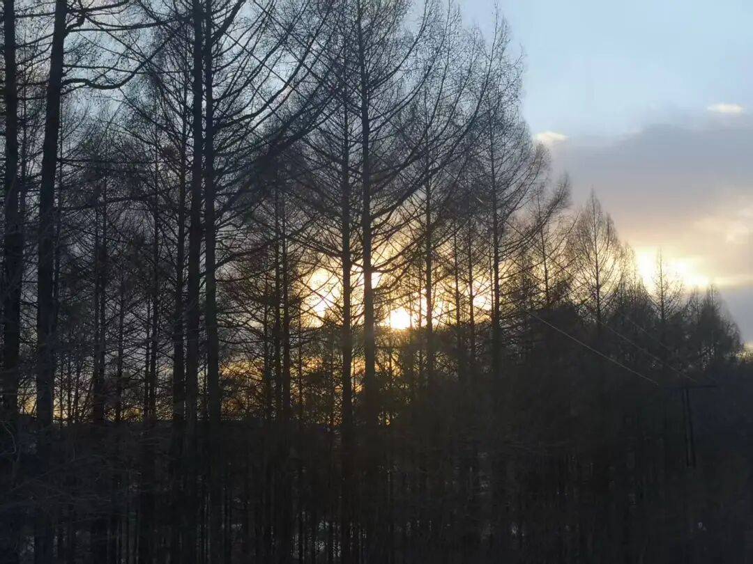 鶴崗「房產(chǎn)一哥」，轉(zhuǎn)行擦邊背后