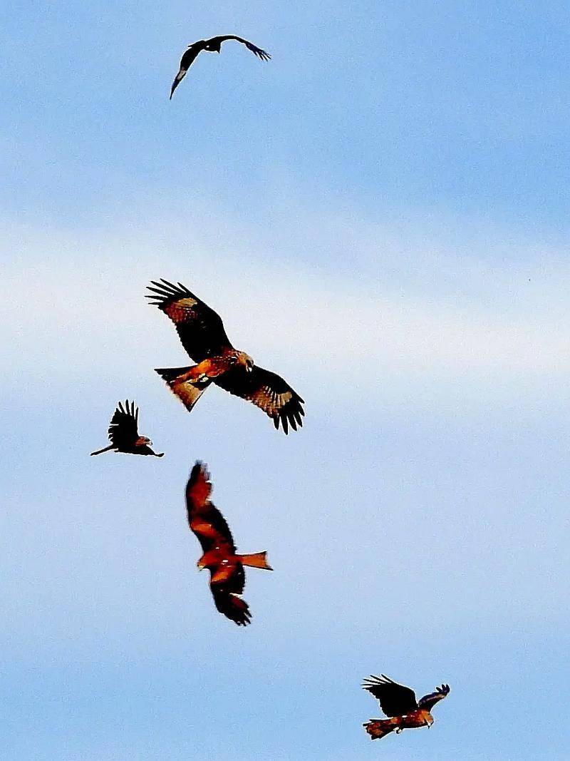 原創(chuàng)詩(shī)歌的蒙太奇效果