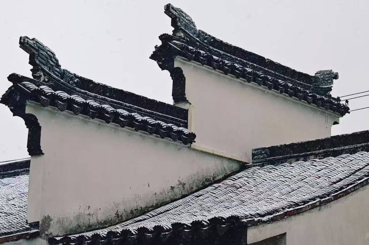 蘇州降雪！山塘中心小學校雪景美如詩畫