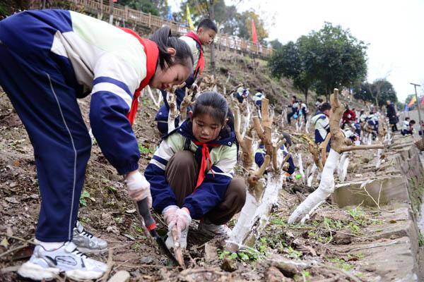 荒坡變課堂 這所小學(xué)創(chuàng)新特色勞動育人模式