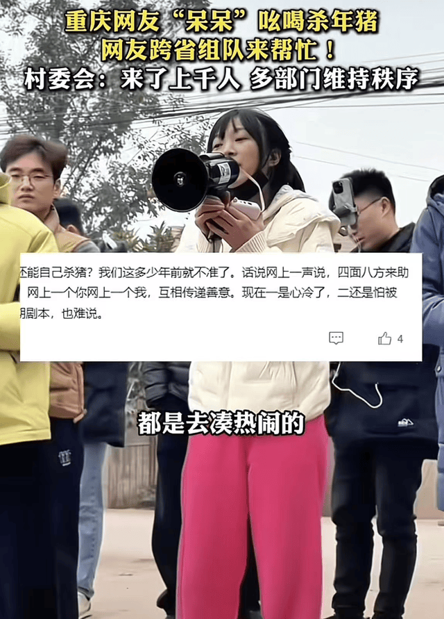 原創(chuàng)呆呆辟謠沒入編，年齡35還未婚，殺豬宴后搬家，拒打賞被稱虧大了