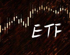 生物醫(yī)藥概念午后快速拉升，中藥50ETF漲1.13%