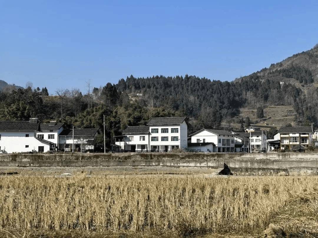 “會(huì)玩是件天大的事”！一農(nóng)村小學(xué)走紅，有人舉家搬遷，“學(xué)區(qū)房”一房難求