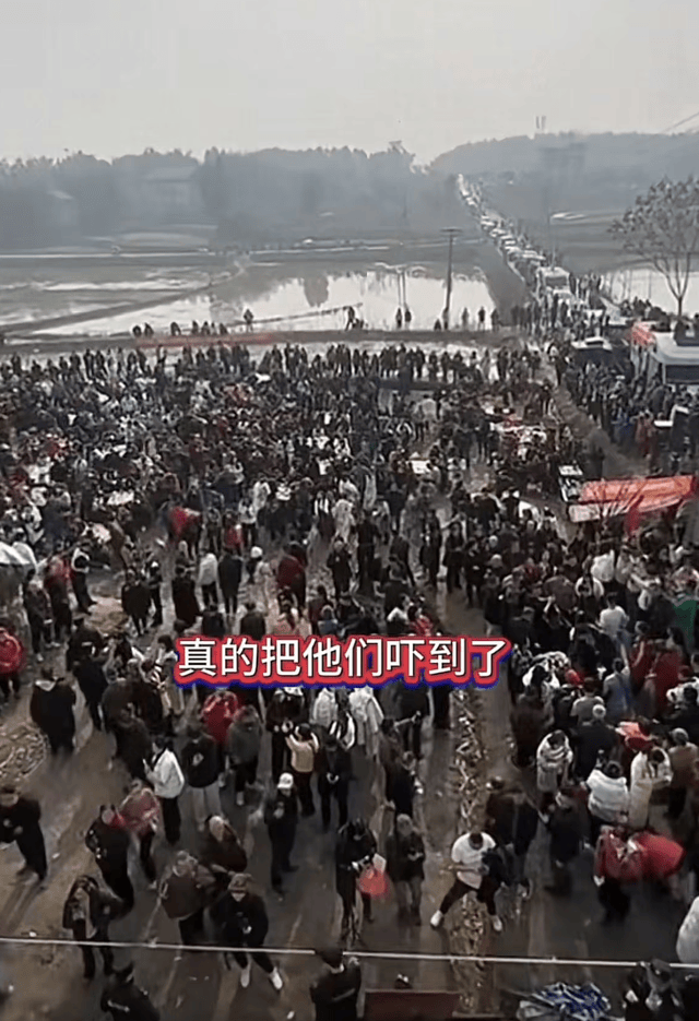 原創(chuàng)呆呆辟謠沒入編，年齡35還未婚，殺豬宴后搬家，拒打賞被稱虧大了