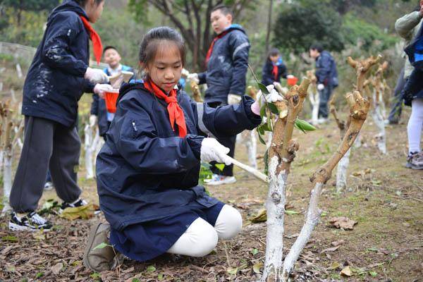 荒坡變課堂 這所小學(xué)創(chuàng)新特色勞動育人模式