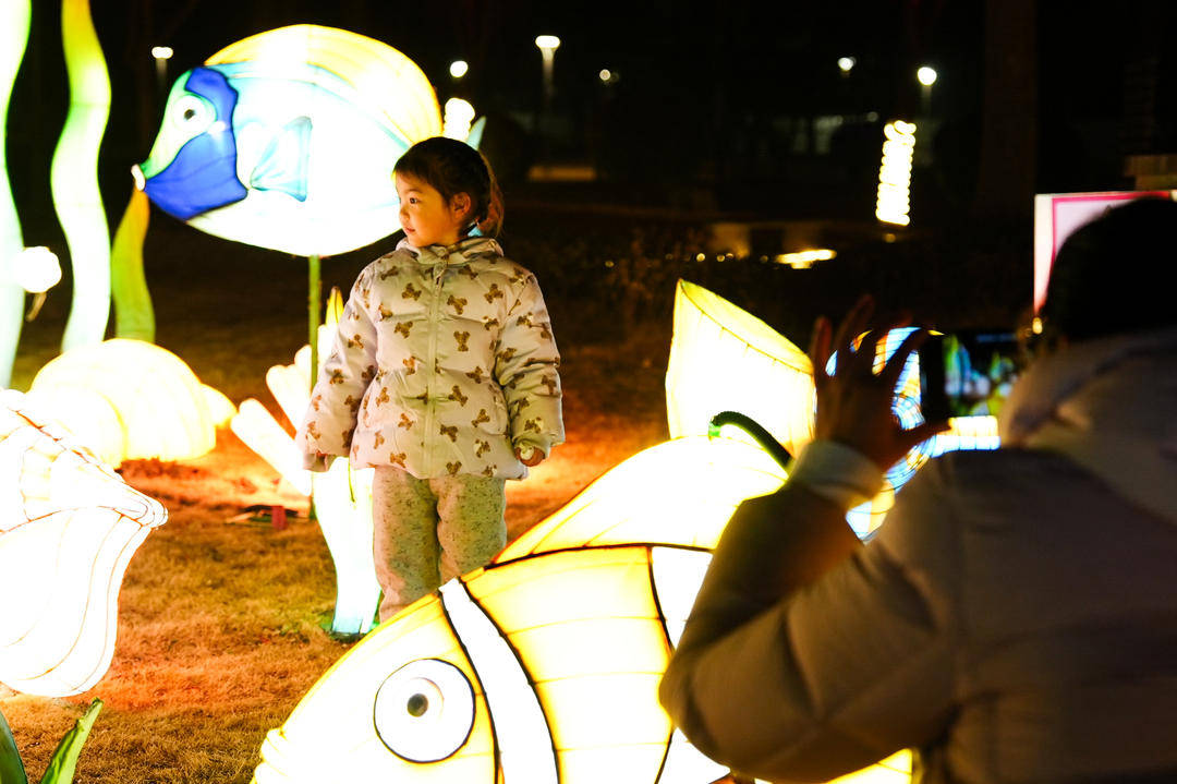 賞花燈、品美食、看表演……2026濟寧太白湖新春燈會開幕