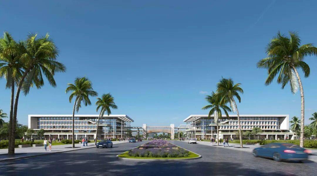 資本抓緊布局海南！“留學(xué)海南”新時(shí)代即將到來